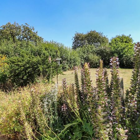 Hops Cottage Ashbourne  Zewnętrze zdjęcie
